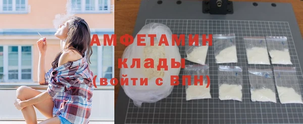 амф Вязьма