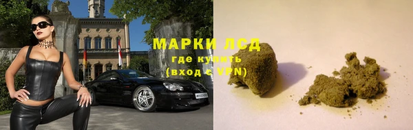 индика Вязники