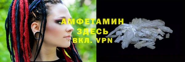 индика Вязники