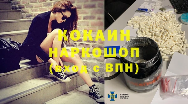 индика Вязники