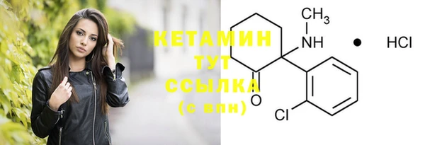 индика Вязники