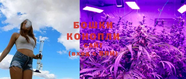 индика Вязники