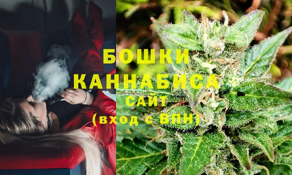 амф Вязьма