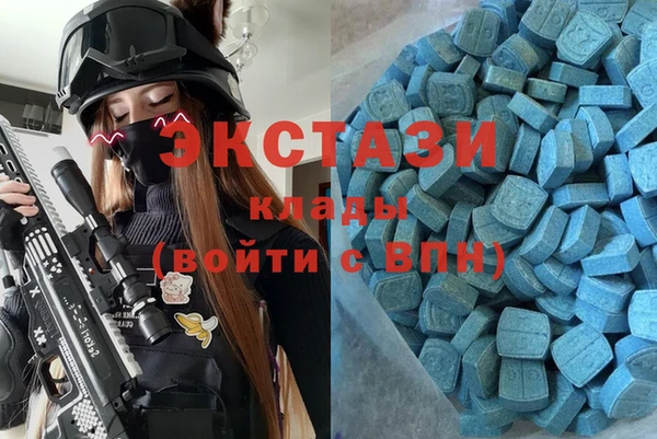индика Вязники