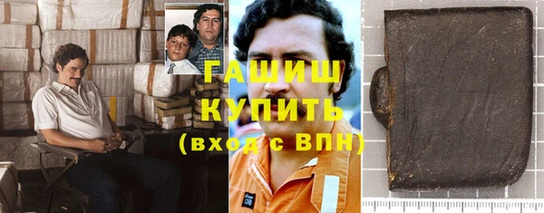 индика Вязники
