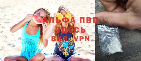 индика Вязники