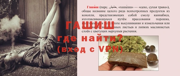 индика Вязники