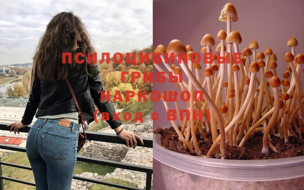 амф Вязьма