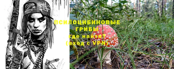 jwh Вяземский