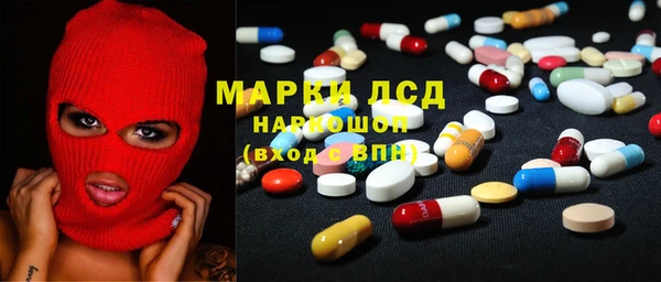 индика Вязники